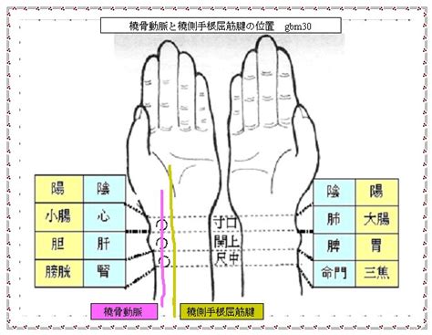 祖脈|[脈診:4]脈図の書き方（祖脈）